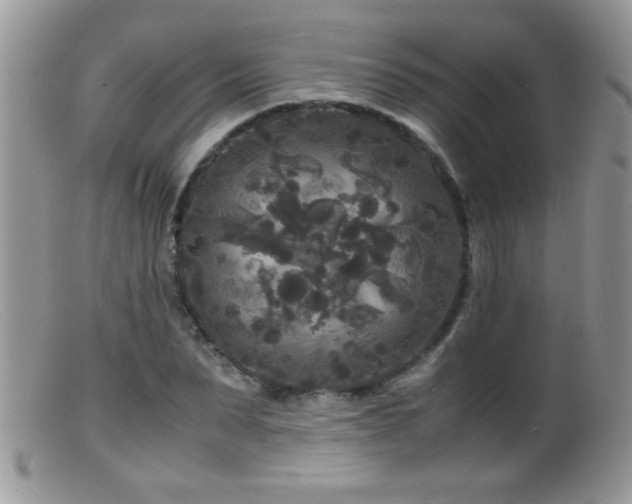 X0000099490879200805151404