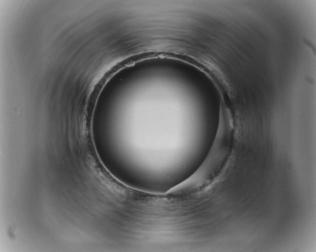 X0000099490880200805151404