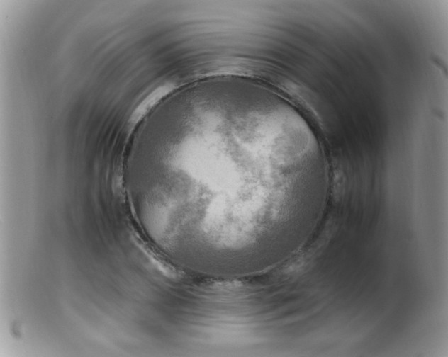 X0000099490882200805151404