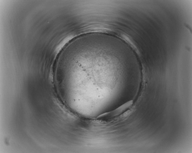 X0000099490883200805151404