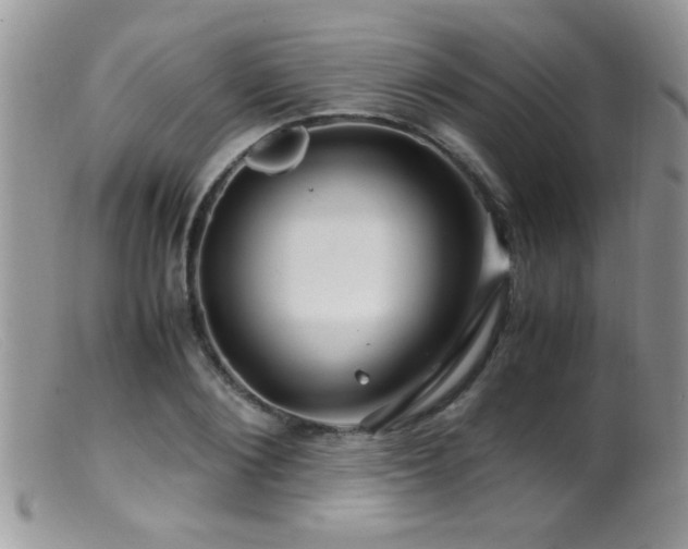 X0000099490884200805151404
