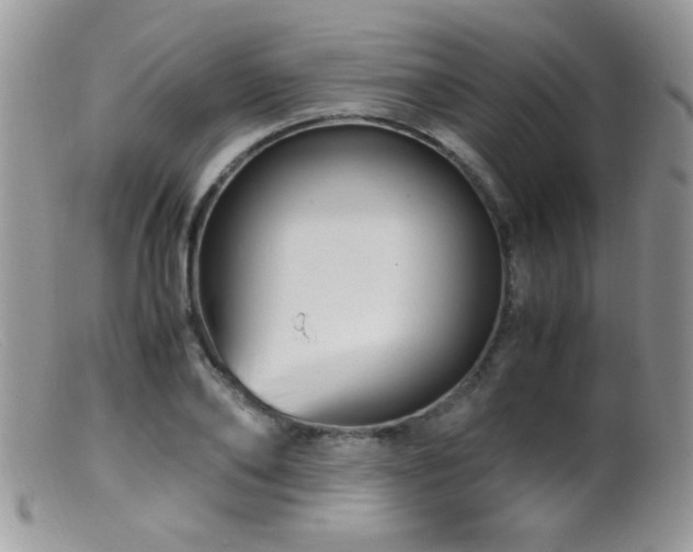 X0000099490886200805151404