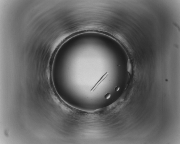 X0000099490888200805151404