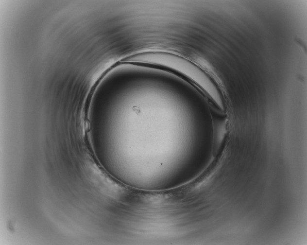 X0000099490892200805151404