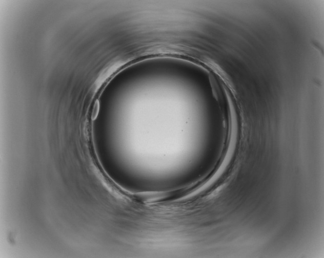 X0000099490893200805151404