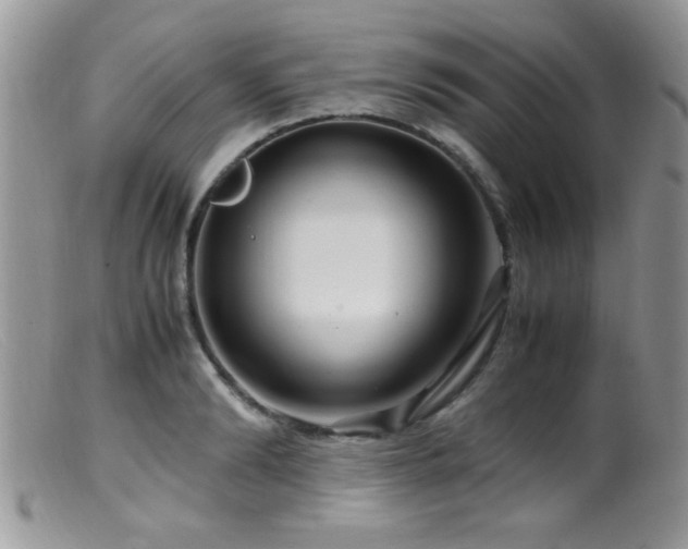 X0000099490894200805151404