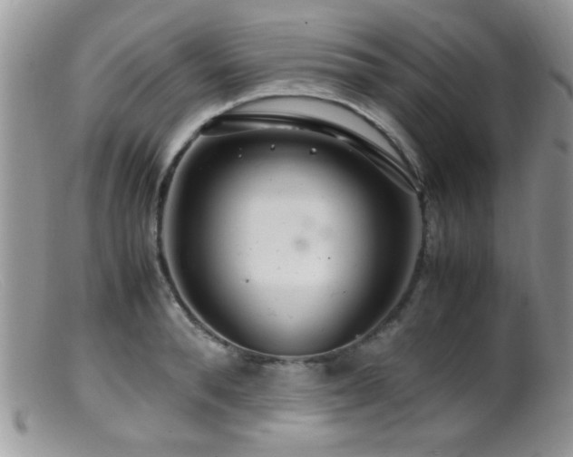 X0000099490896200805151404