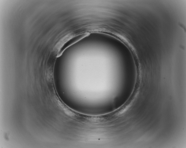 X0000099490897200805151404