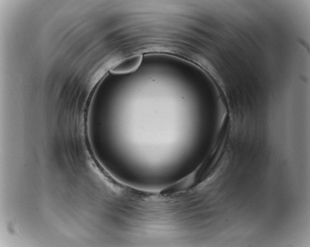 X0000099490898200805151404
