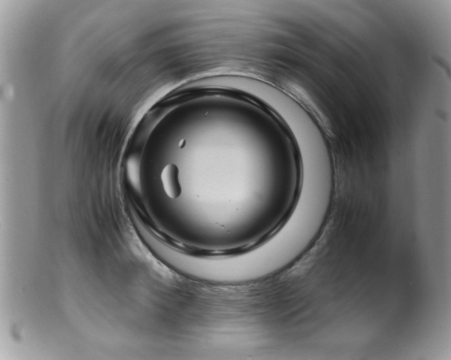 X0000099490900200805151404