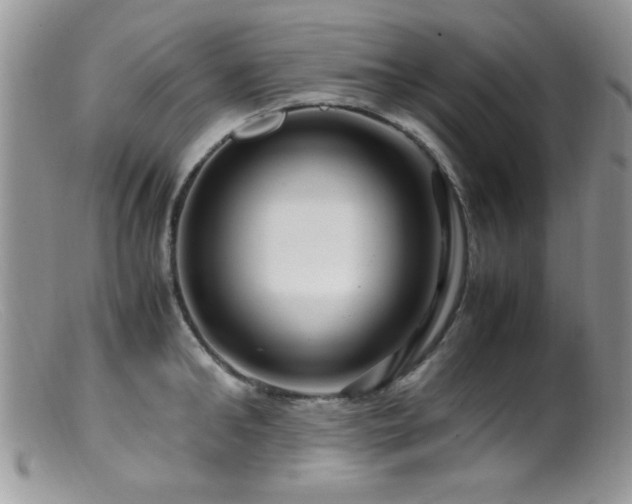 X0000099490902200805151404