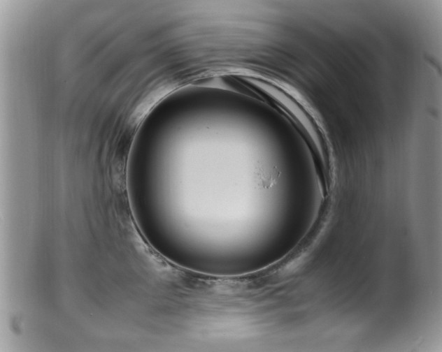 X0000099490905200805151404