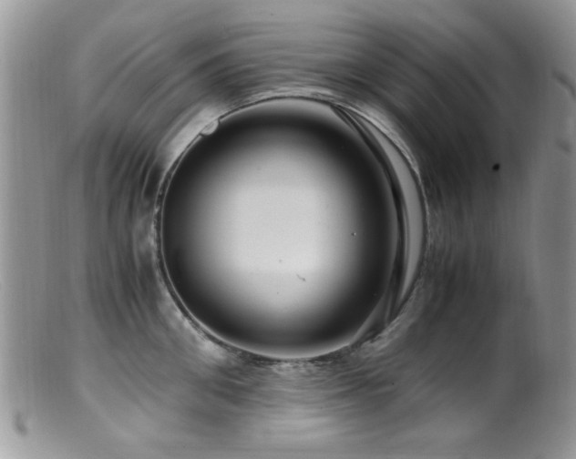 X0000099490906200805151404