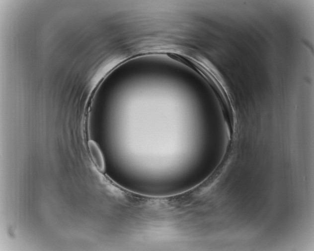 X0000099490909200805151404