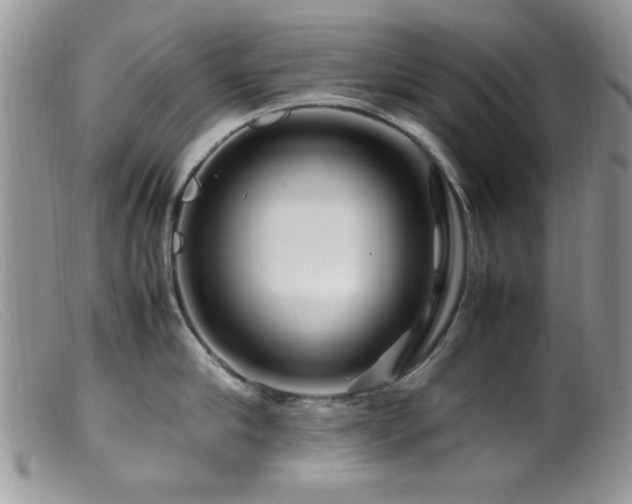 X0000099490910200805151404