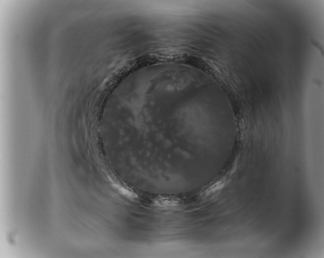 X0000099490913200805151403