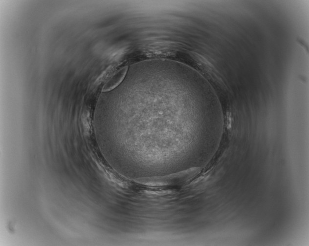 X0000099490915200805151403