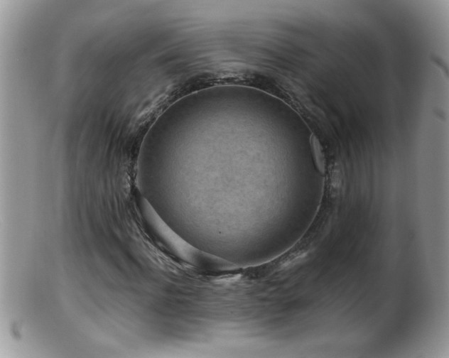 X0000099490916200805151403