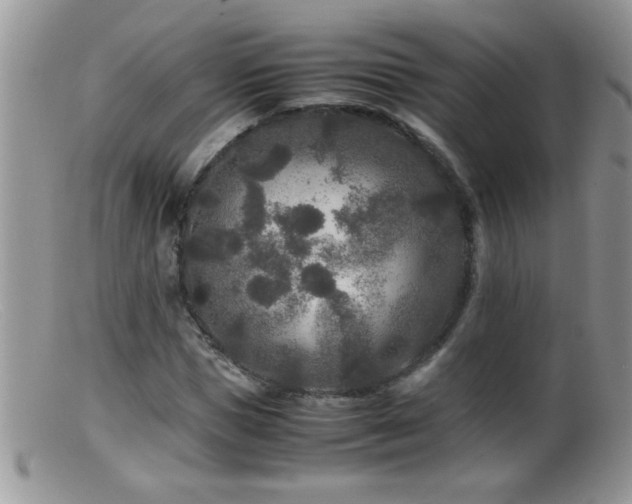 X0000099490921200805151403