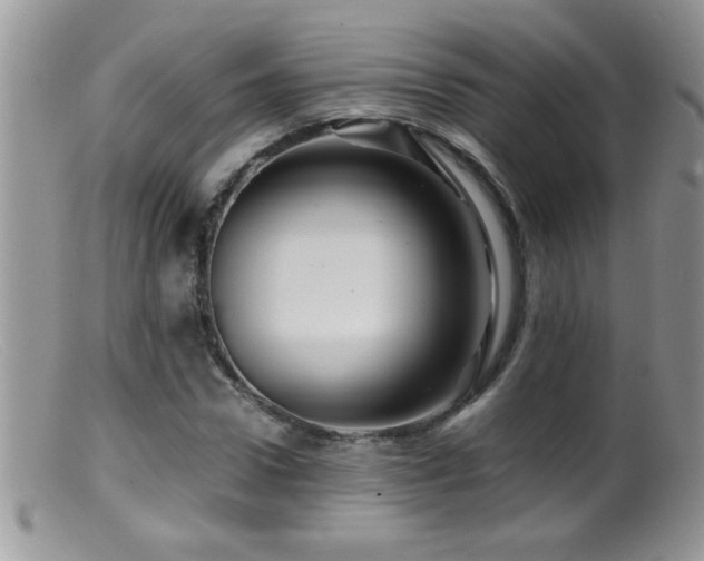 X0000099490922200805151403