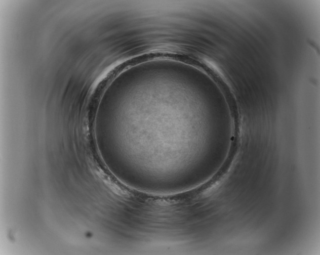 X0000099490923200805151403