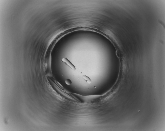 X0000099490924200805151403
