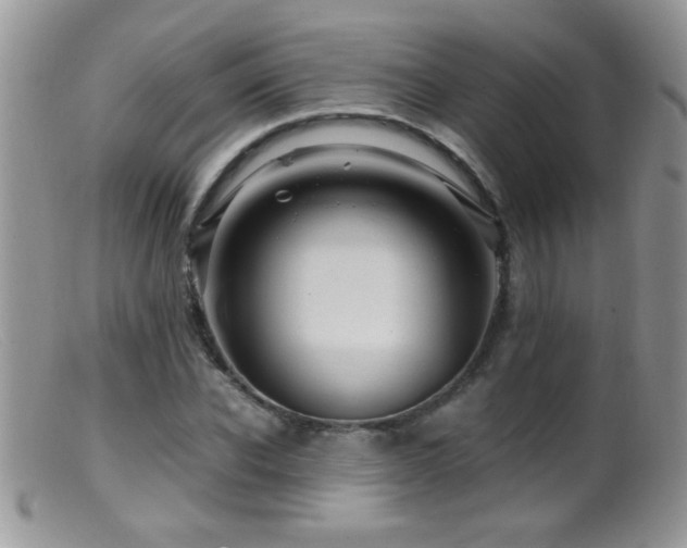 X0000099490926200805151403