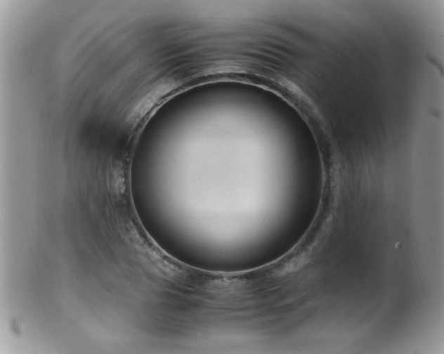 X0000099490929200805151403