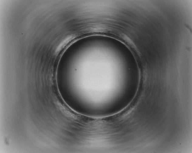 X0000099490930200805151403