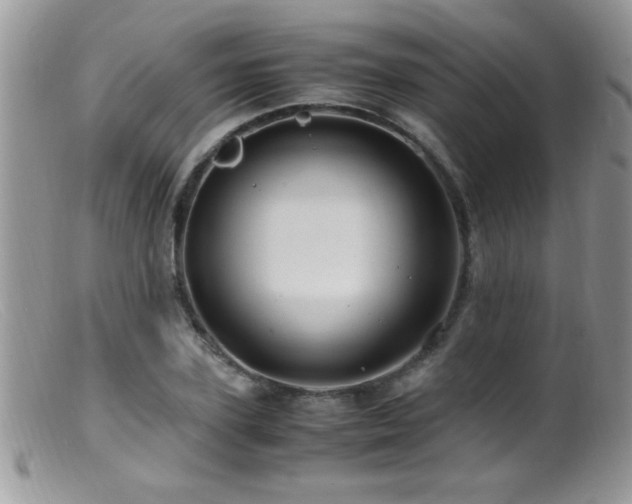 X0000099490931200805151403