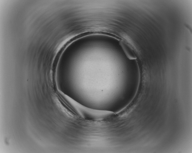 X0000099490932200805151403