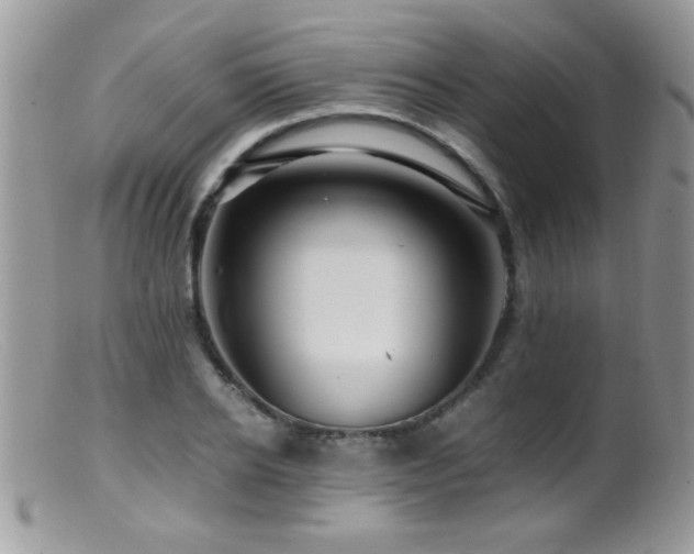 X0000099490934200805151403