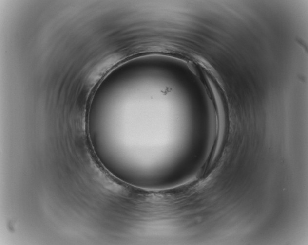 X0000099490938200805151403