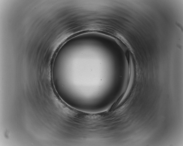 X0000099490939200805151403