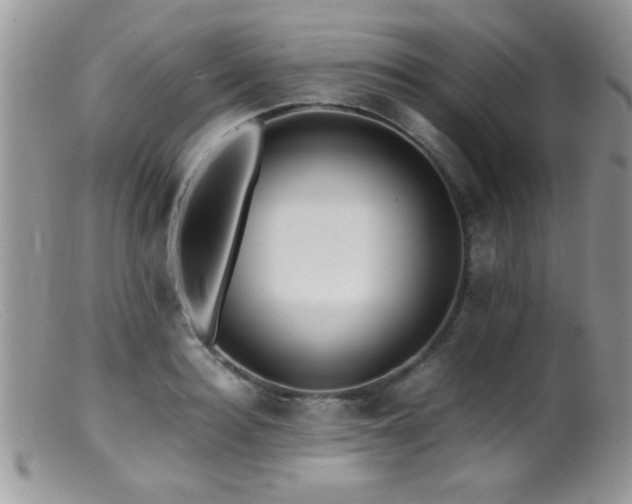 X0000099490940200805151403