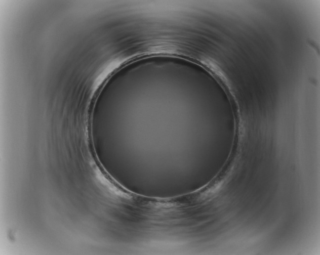 X0000099490941200805151403