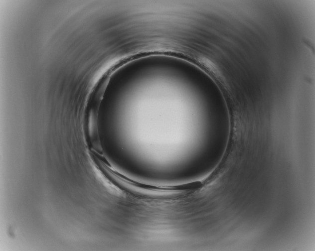 X0000099490942200805151403