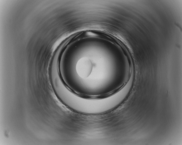 X0000099490944200805151403