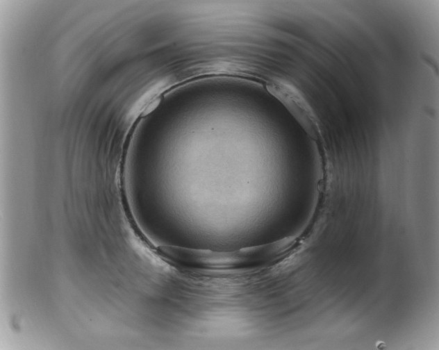 X0000099490946200805151403