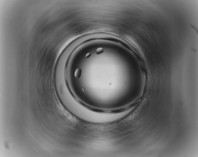 X0000099490948200805151403