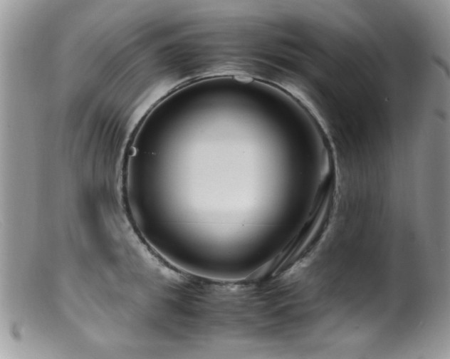 X0000099490949200805151403