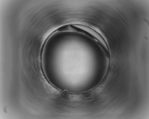 X0000099490951200805151403
