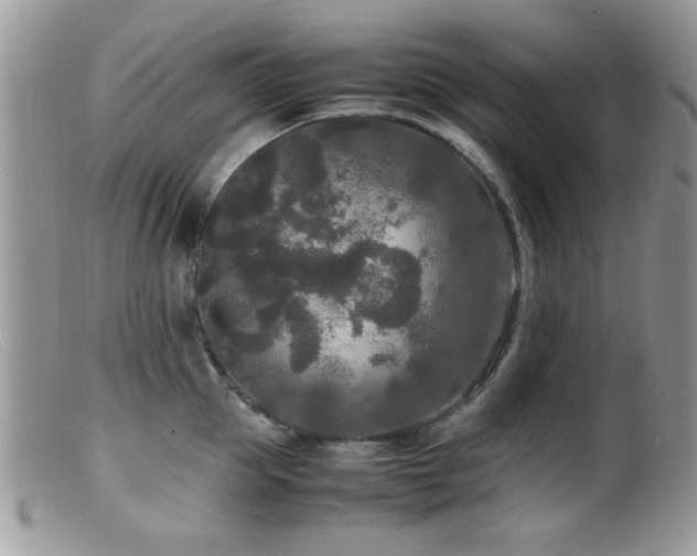X0000099490953200805151403