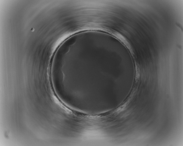 X0000099490958200805151403