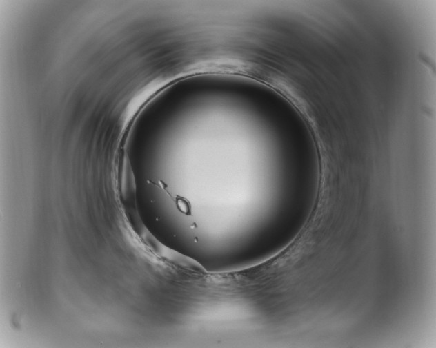 X0000099490960200805151403