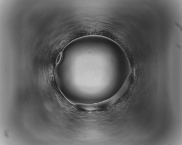 X0000099490963200805151403