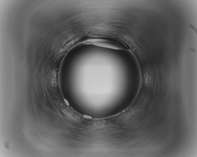 X0000099490964200805151403