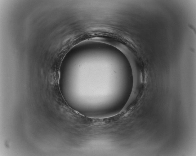 X0000099490965200805151403