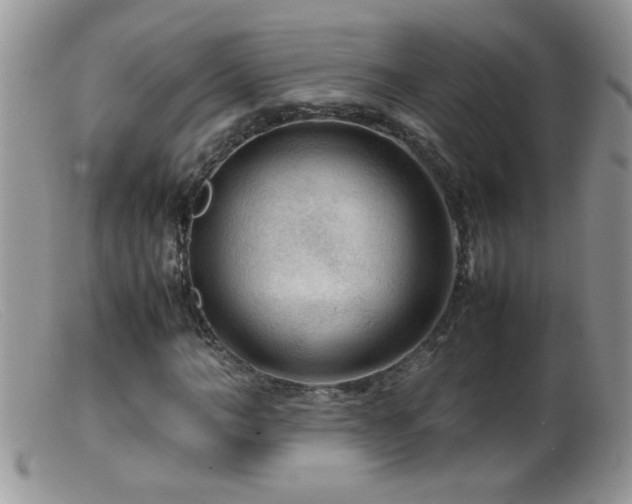 X0000099490966200805151403