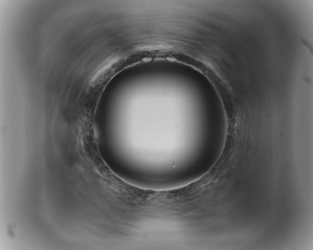 X0000099490967200805151403